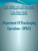 Bài giảng Lực lượng gìn giữ hoà bình Liên Hợp Quốc