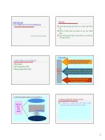 Bài giảng Pháp luật đại cương: Chương 3 - ThS. Trần Anh Thục Đoan