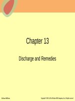 Lecture Dynamic business law, the essentials (2/e) - Chapter 13: Discharge and remedies