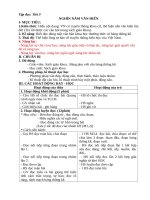 GIÁO ÁN PTNL 5 TUAN 2