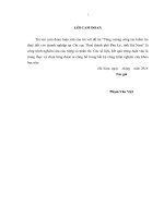 luận văn thạc sĩ tăng cường công tác kiểm tra thuế đối với doanh nghiệp tại chi cục thuế thành phố phủ lý, tỉnh hà nam 