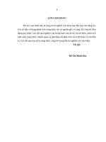 Thu hút nguồn nhân lực chất lượng cao tại tại công ty trách nhiệm hữu hạn giải pháp phần mềm CMC 