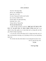 luận văn thạc sĩ hiệu quả sử dụng vốn đầu tư tại quỹ đầu tư phát triển tỉnh lào cai 