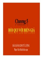 Bài giảng Kinh tế lượng: Chương 5 - Th.S Phạm Văn Minh