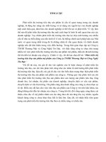 luận văn kinh doanh quốc tế phát triển thị trường tiêu thụ sản phẩm mỹ phẩm của công ty TNHH thương mại và công nghệ tín đạt  