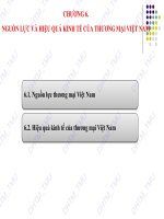 Bài giảng điện tử học phần Kinh tế thương mại Việt Nam: Chương 6 – ĐH Thương Mại