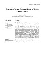 Government size and economic growth in Vietnam: A panel analysis