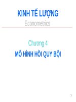 Bài giảng Kinh tế lượng - Chương 4: Mô hình hồi quy bội