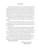 luận văn hệ thống thông tin kinh tế xây dựng kế hoạch marketing điện tử cho công ty cổ phần IDT việt nam 