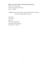 luận văn quản trị kinh doanh nâng cao chất lượng dịch vụ khách hàng để phát triển thương hiệu của công ty cổ phần mediamart việt nam  