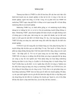 luận văn thương mại điện tử giải pháp nâng cao hoạt động marketing thương mại điện tử của công ty cổ phần tư vấn thương hiệu và truyền thông việt nam” 