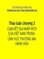 Bài giảng Thảo luận Chương 3: Cam kết gia nhập WTO của Việt Nam trong lĩnh vực thương mại hàng hóa