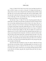 luận văn marketing lập kế hoạch marketing thương mại điện tử cho công ty cổ phần 3b việt nam 