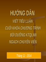 Bài giảng Hướng dẫn viết tiểu luận cuối khóa chương trình bồi dưỡng KTQLNN ngạch chuyên viên