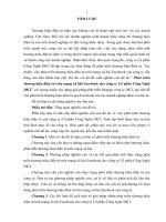 luận văn thương mại điện tử phát triển thương hiệu điện tử trên mạng xã hội facebook cho công ty cổ phần công nghệ DKT 