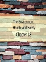 Lecture Principles of economics (Asia Global Edition) - Chapter 13