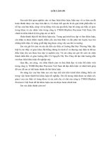 luận văn hệ thống thông tin kinh tế phân tích thiết kế hệ thống thông tin quản lý khách hàng tại công ty TNHH rhythm precision việt nam 