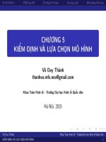 Bài giảng Kinh tế lượng: Chương 5 - Vũ Duy Thành