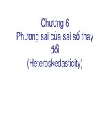 Bài giảng Kinh tế lượng: Chương 6: Phương sai của sai số thay đổi