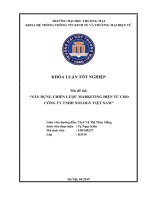 luận văn hệ thống thông tin kinh tế xây dựng chiến lược marketing điện tử cho công ty TNHH nology việt nam 
