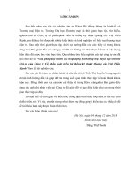 luận văn marketing giải pháp đẩy mạnh các hoạt động marketing trực tuyến tại website civi vn của công ty cổ phần phát triển hệ thống kỹ thuật quảng cáo việt tiến mạnh 