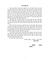 luận văn kinh tế luật đẩy mạnh tiêu thụ sản phẩm xi măng trên thị trường hà nội của công ty cổ phần xây dựng và thương mại tam giác 