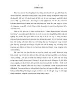 luận văn quản trị kinh doanh hoàn thiện công tác kiểm soát bán hàng tại công ty cổ phần sản xuất  thương mại xuất nhập khẩu goonsan 