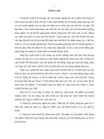 luận văn quản trị kinh doanh giải pháp nâng cao năng lực cạnh tranh của công ty trách nhiệm hữu hạn lan việt 