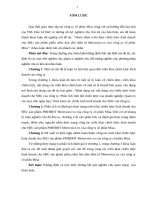 luận văn quản trị kinh doanh hoàn thiện triển khai chiến lược kinh doanh cho SBU sản phẩm phần mềm hóa đơn điện tử meinvoice vn của công ty cổ phần misa 