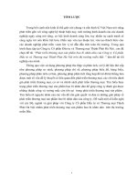 luận văn kinh doanh quốc tế phát triển thương mại sản phẩm bao bì nhãn dán của công ty cổ phần đầu tư và thương mại thịnh phát hà nội trên thị trường miền bắc 