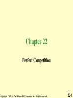 Lecture Economics (6/e): Chapter 22 - Stephen L. Slavin