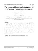 The impact of domestic remittances on left-behind older people in Vietnam