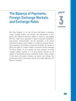 Ebook International economics (11th edition): Part 2