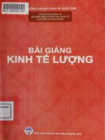Bài giảng Kinh tế lượng: Phần 1 - PGS. Nguyễn Quang Dong