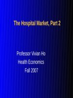 Lecture Health economics - Chapter 10: The hospital market (Part 2)