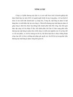 luận văn kinh doanh quốc tế phát triển thương mại mặt hàng áo phao của công ty cổ phần thương mại dịch vụ và sản xuất nam anh trên thị trường miền bắc 