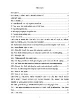 luận văn quản trị kinh doanh nâng cao năng lực cạnh tranh của công ty TNHH thiết bị khoa học công nghệ mới 