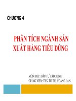 Bài giảng môn Đầu tư tài chính: Chương 4 - ThS. Từ Thị Hoàng Lan