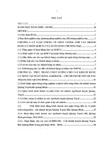 luận văn tài chính ngân hàng giải pháp nâng cao chất lượng cho vay khách hàng cá nhân tại ngân hàng agribank – chi nhánh huyện quảng trạch, tỉnh quảng bình 