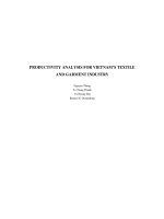 Productivity analysis for Vietnam''s textile and garment industry