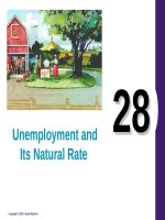 Lecture Principles of economics - Chapter 28: Unemployment and its natural rate