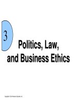 Lecture International business - Chapter 3: Politics, law, and business ethics