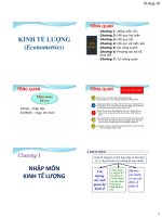 Bài giảng Kinh tế lượng - Chương I: Nhập môn kinh tế lượng