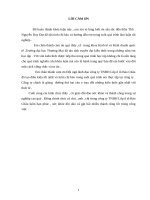 Thu hút vốn đầu tư nước ngoài nhằm phát triển mặt hàng  lốp ô tô xuất khẩu sang thị trường ASEAN của công ty lốp ô tô bảo châu 