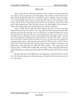 luận văn marketing phát triển xúc tiến sản phẩm dùng ở bàn (tableware) của công ty CP đầu tƣ xây dựng và thủy tinh hà nội trên thị trƣờng hà nội 