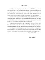 luận văn kinh doanh quốc tế phát triển thị trƣờng xuất khẩu gỗ nguyên liệu tại công ty TNHH thƣơng mại xuất nhập khẩu tân hà 