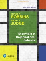 Ebook Essentials of organizational behavior: Part 1