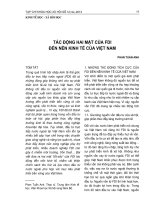 Tác động hai mặt của FDI đến nền kinh tế của Việt Nam