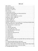 luận văn quản trị kinh doanh hoạch định chiến lƣợc kinh doanh của công ty TNHH sản xuất và thƣơng mại hùng vƣơng 