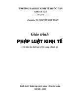 Giáo trình Pháp luật kinh tế (tái bản lần thứ hai có bổ sung, chỉnh lý): Phần 1